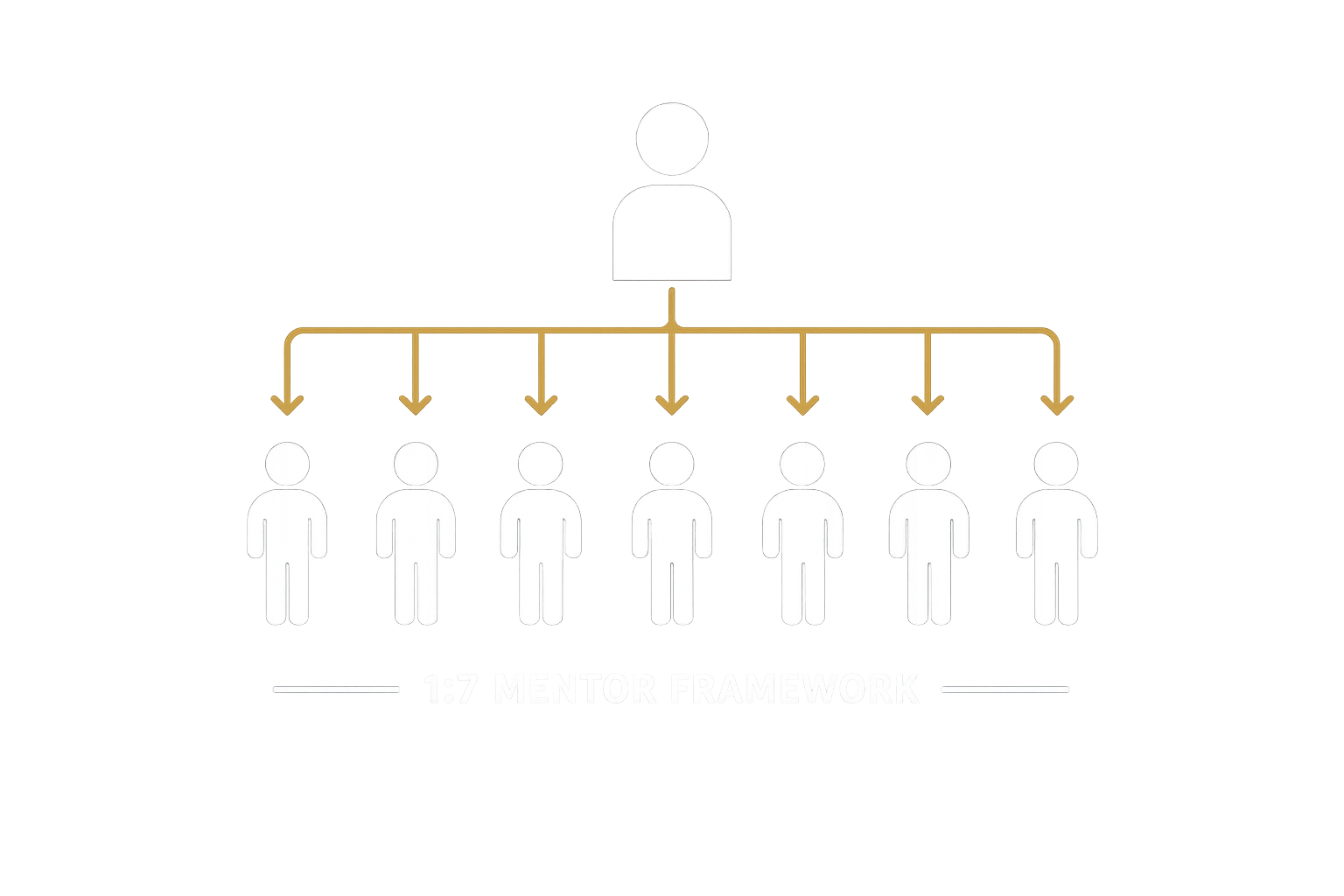 1:7 Mentor Framework